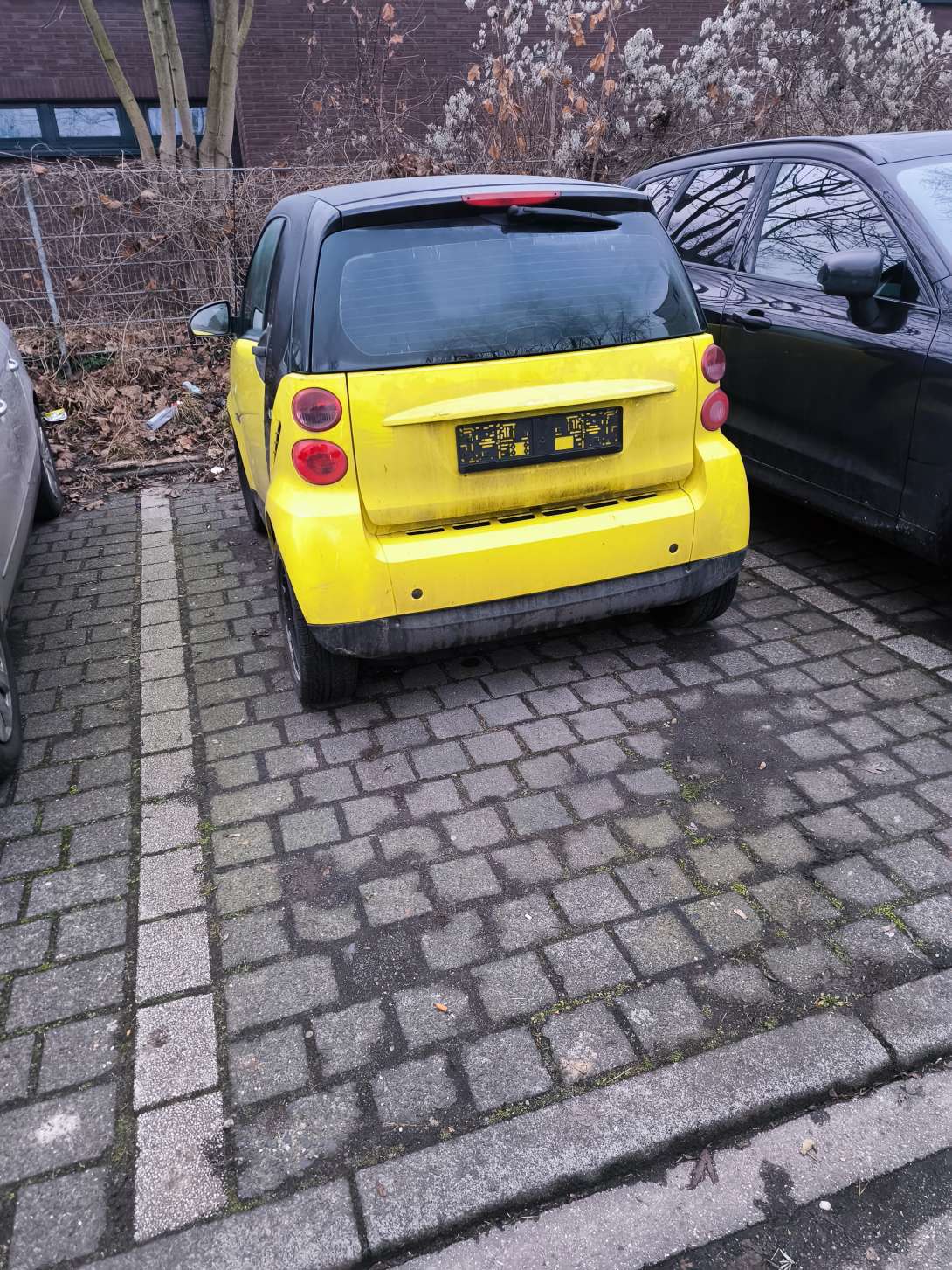 Bild zu gemeldetem Anliegen vom *2026-01-18 12:33:35