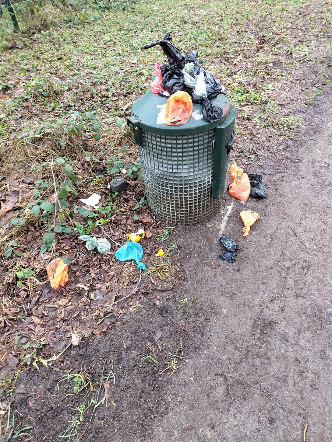 Bild zu gemeldetem Anliegen vom *2026-01-14 10:53:40