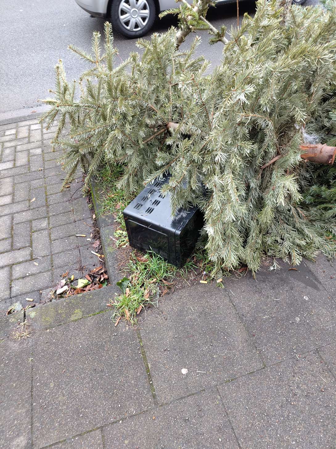 Bild zu gemeldetem Anliegen vom *2026-01-14 10:47:43