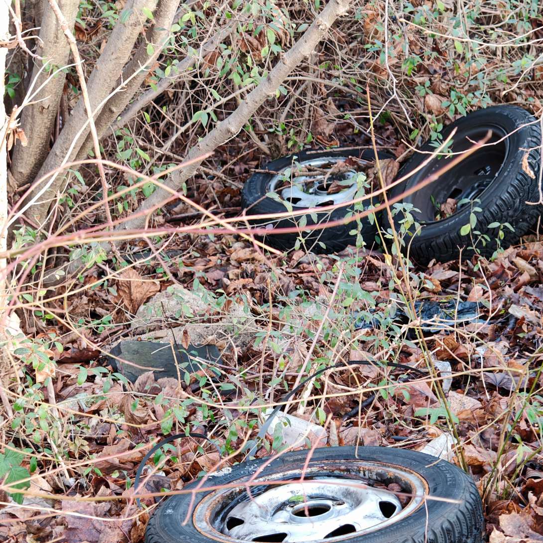 Bild zu gemeldetem Anliegen vom *2026-01-15 12:15:01