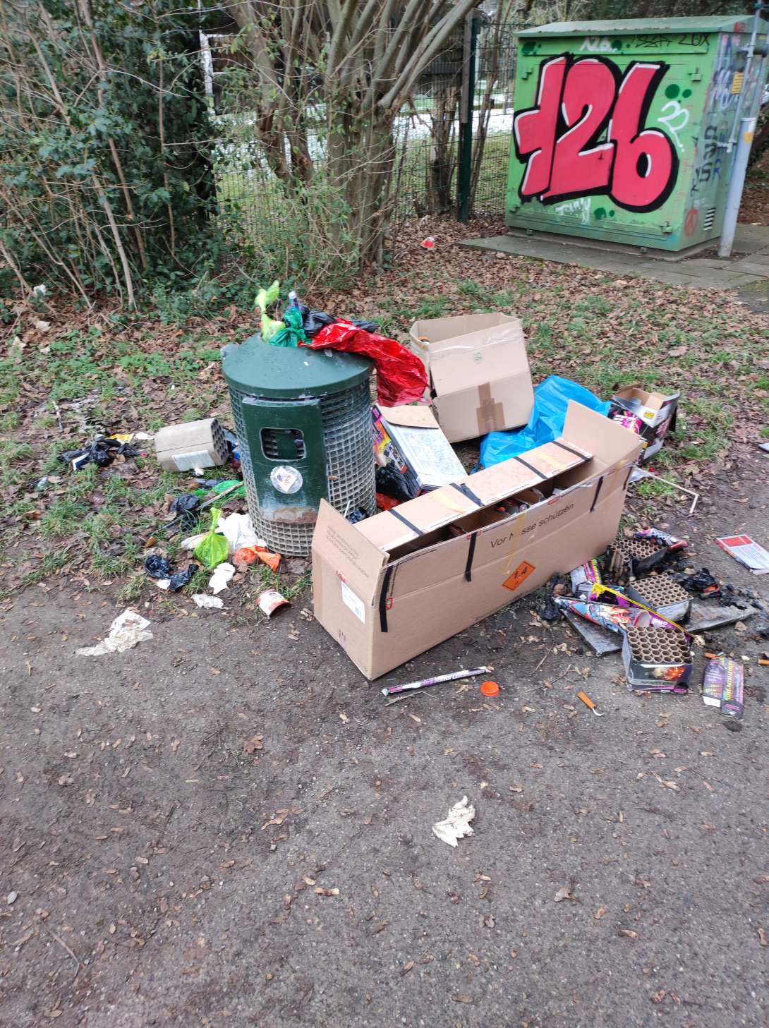 Bild zu gemeldetem Anliegen vom *2026-01-03 11:44:24