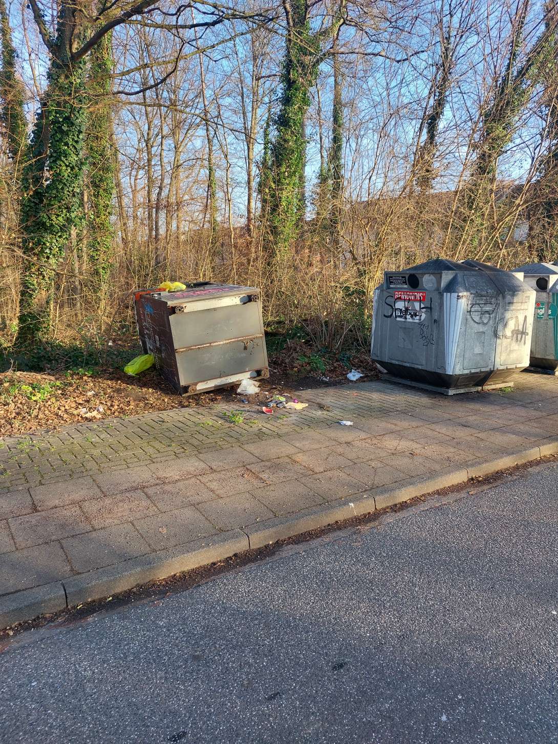 Bild zu gemeldetem Anliegen vom *2026-01-20 09:29:17