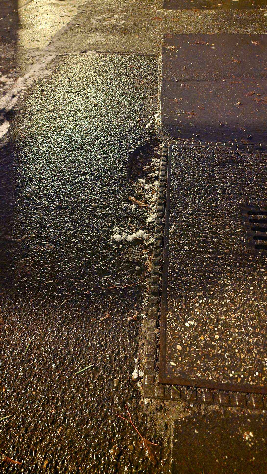 Bild zu gemeldetem Anliegen vom *2026-01-06 07:21:28