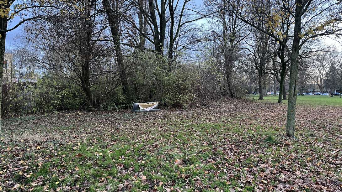 Bild zu gemeldetem Anliegen vom *2026-01-07 14:53:23