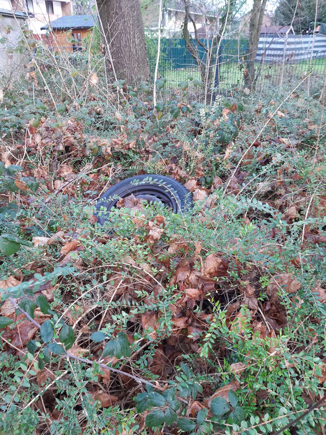 Bild zu gemeldetem Anliegen vom *2026-01-02 13:27:44