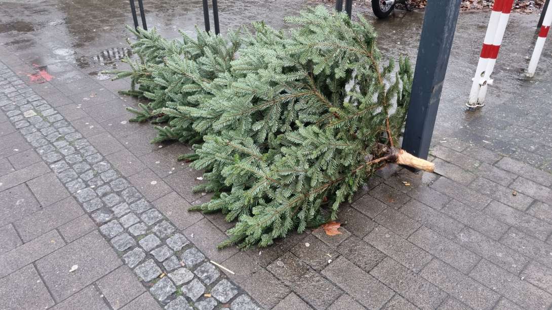 Bild zu gemeldetem Anliegen vom *2026-01-12 11:56:31