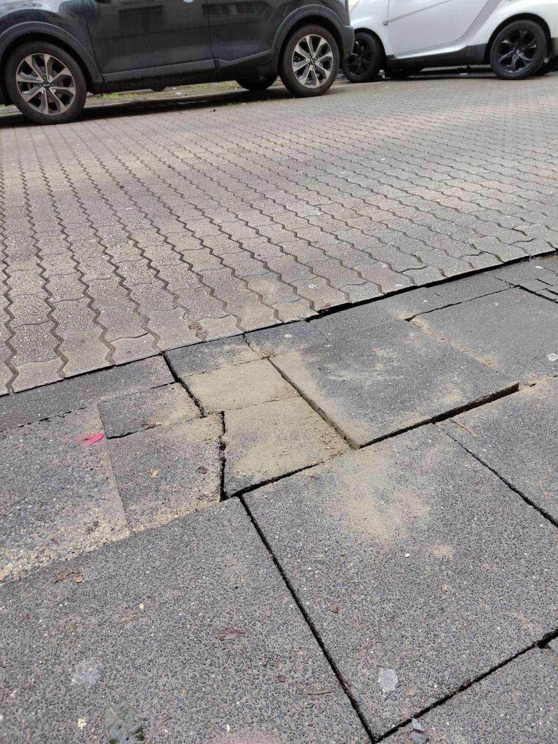 Bild zu gemeldetem Anliegen vom *2026-01-14 12:38:30