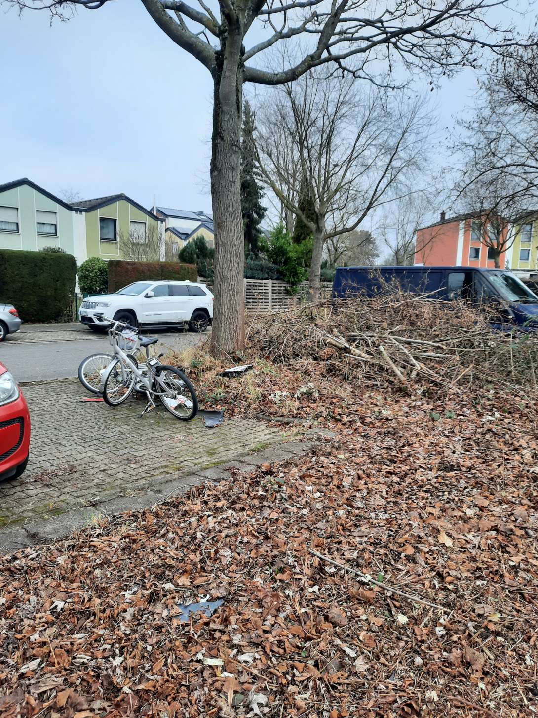 Bild zu gemeldetem Anliegen vom *2026-01-19 11:58:08