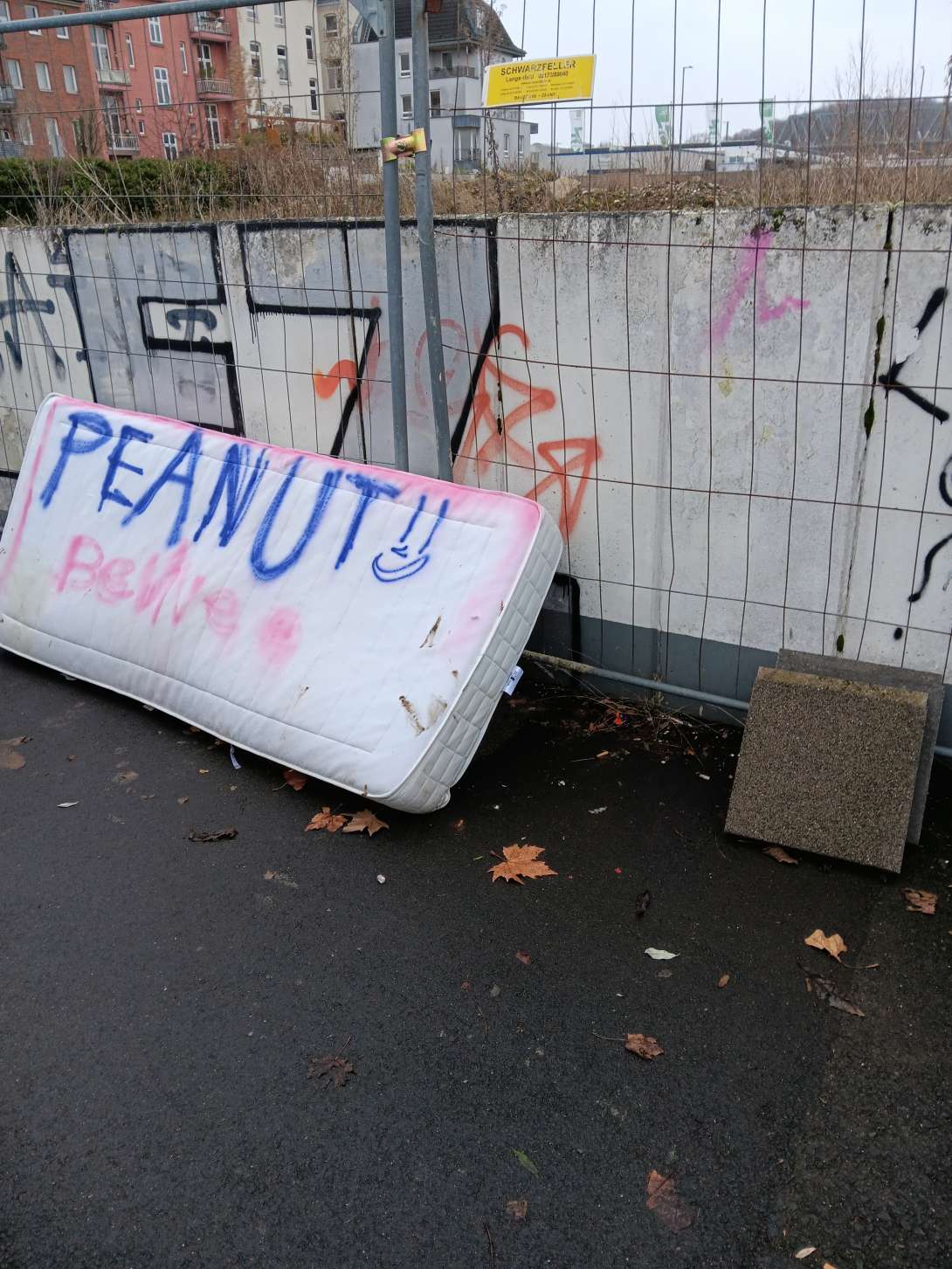 Bild zu gemeldetem Anliegen vom *2026-01-20 21:31:49