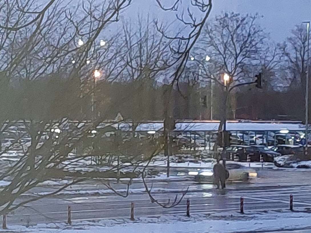 Bild zu gemeldetem Anliegen vom *2026-01-08 08:10:05