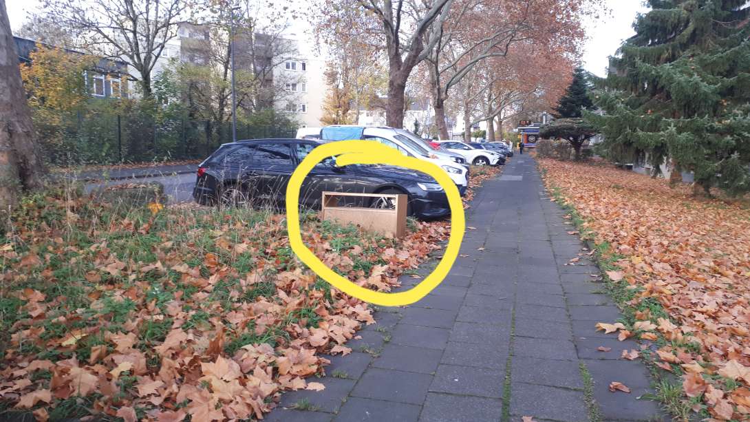 Bild zu gemeldetem Anliegen vom *2026-01-13 13:08:47