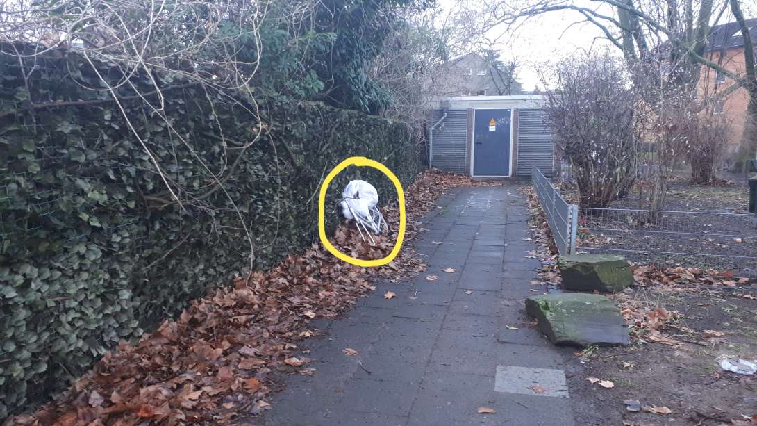 Bild zu gemeldetem Anliegen vom *2026-01-13 10:55:31