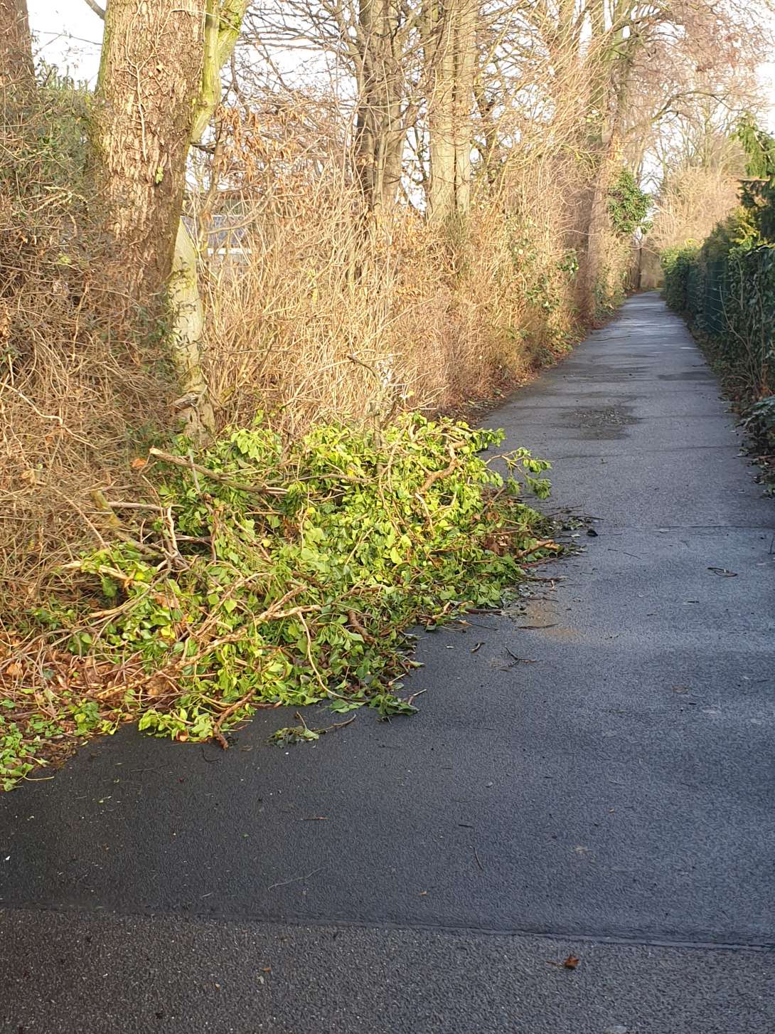 Bild zu gemeldetem Anliegen vom *2026-01-13 15:30:23