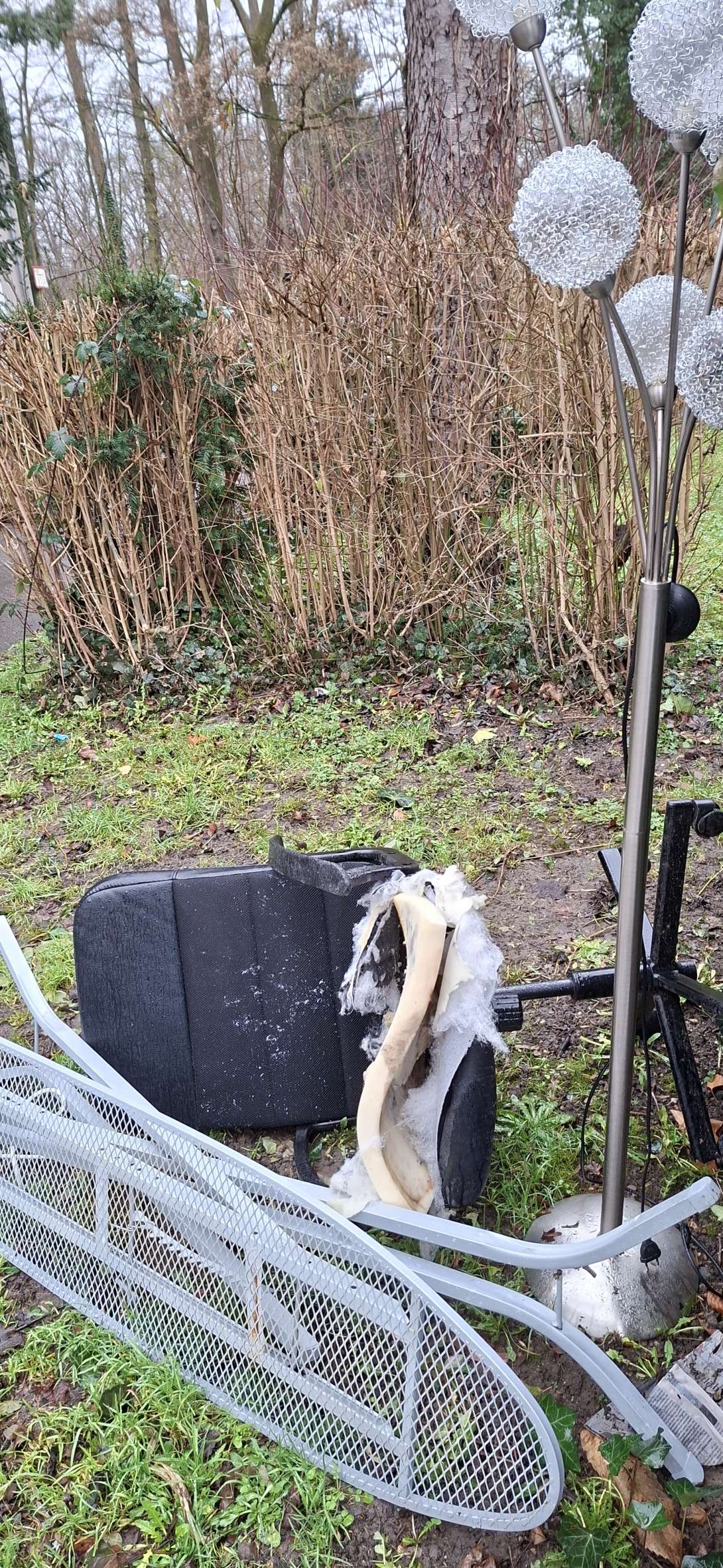 Bild zu gemeldetem Anliegen vom *2026-01-14 13:53:31