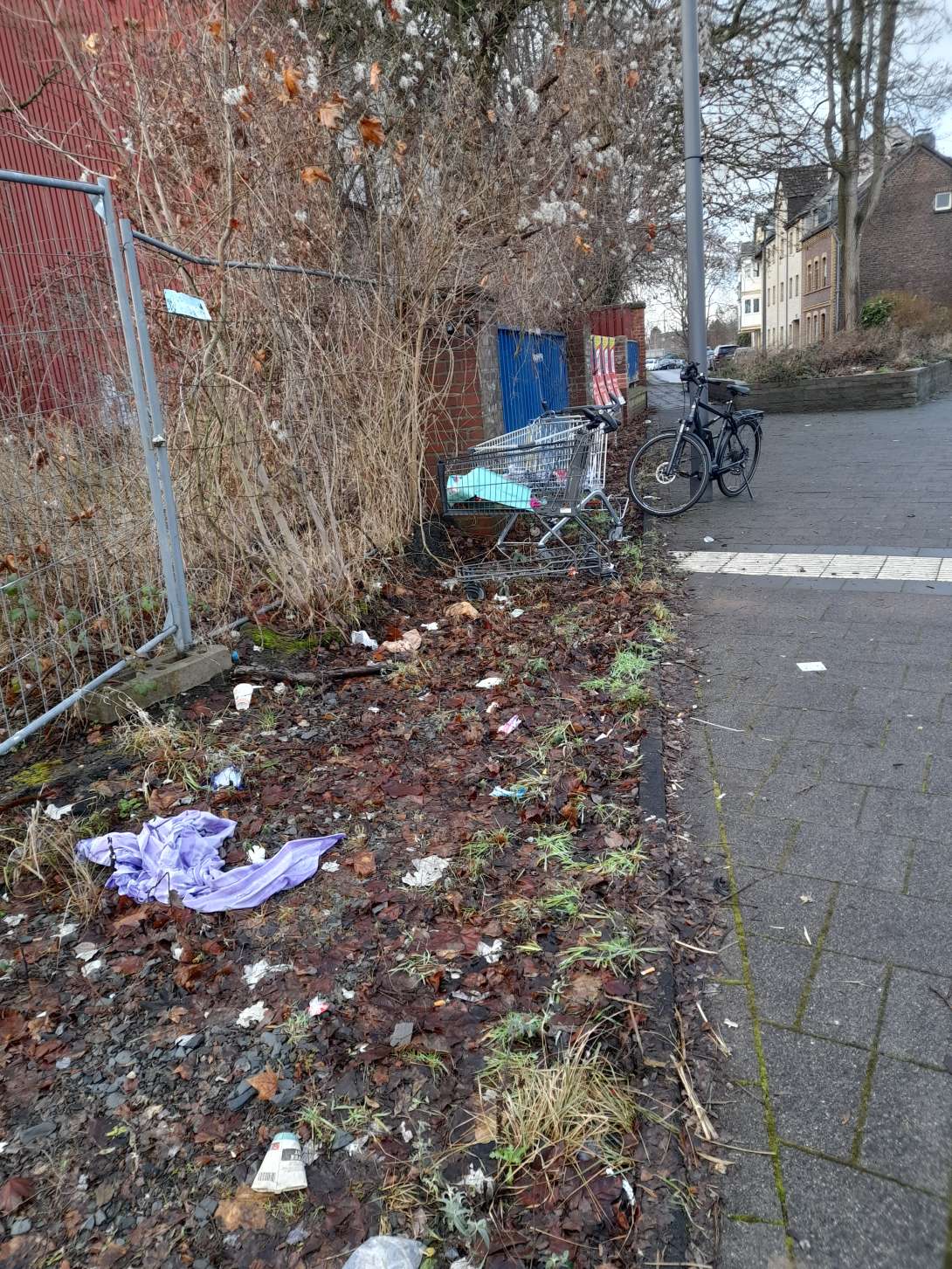 Bild zu gemeldetem Anliegen vom *2026-01-16 19:53:42