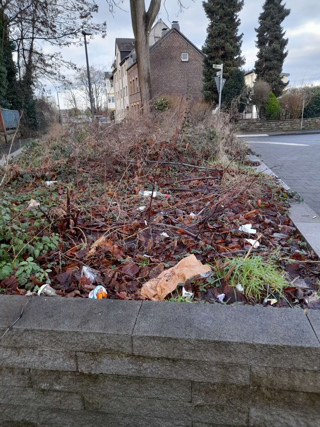 Bild zu gemeldetem Anliegen vom *2026-01-16 19:59:46