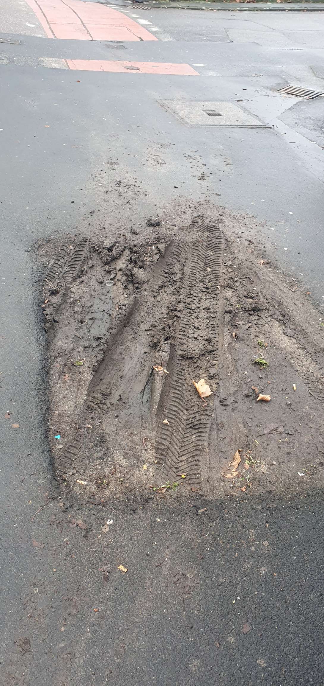 Bild zu gemeldetem Anliegen vom *2026-01-15 13:38:18