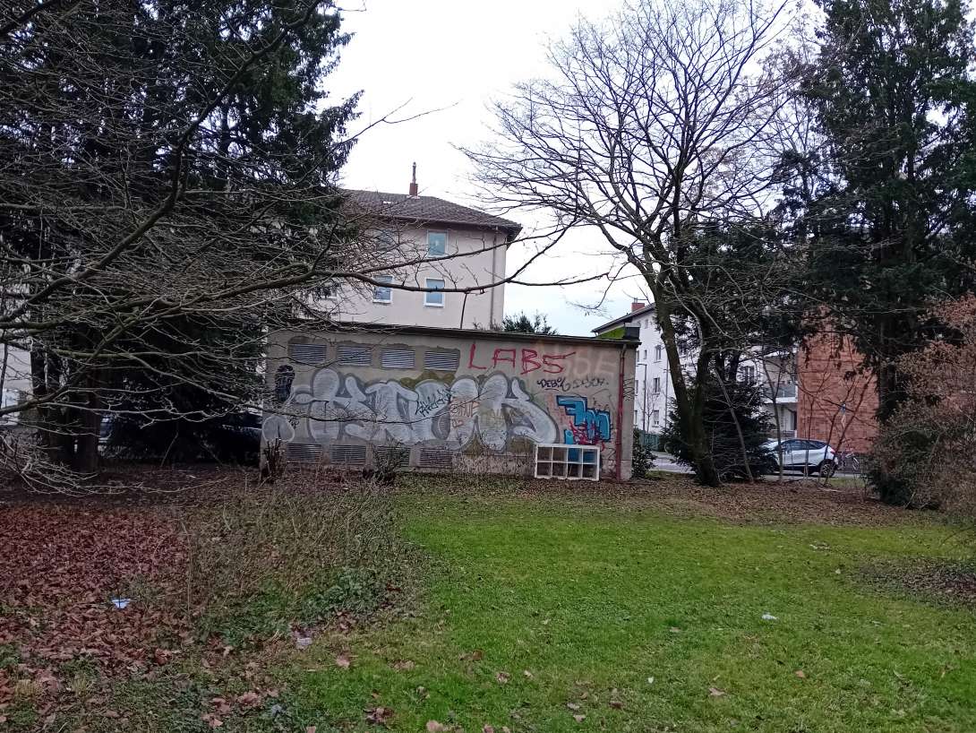 Bild zu gemeldetem Anliegen vom *2026-01-15 17:04:31