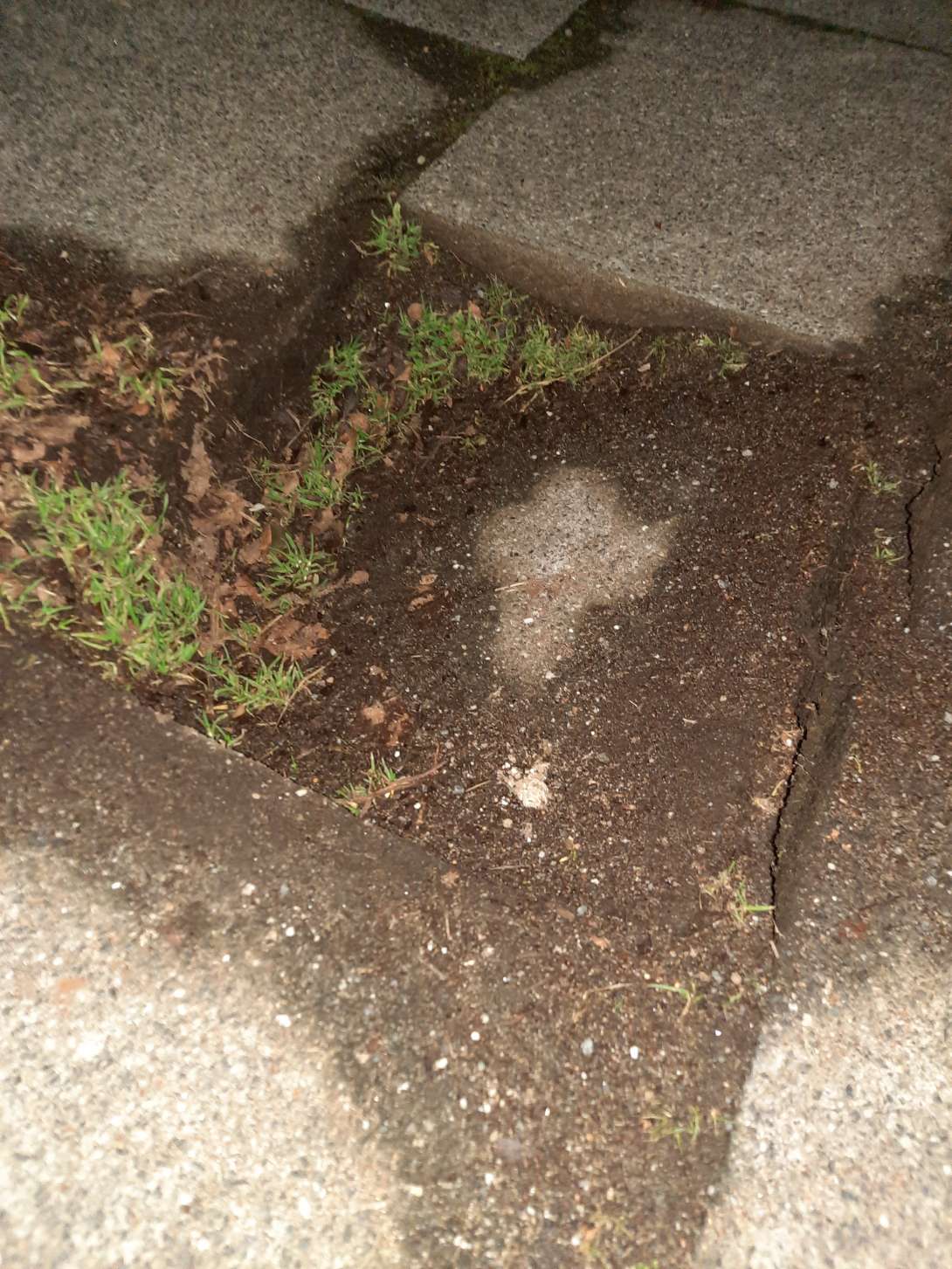 Bild zu gemeldetem Anliegen vom *2026-01-16 06:33:41