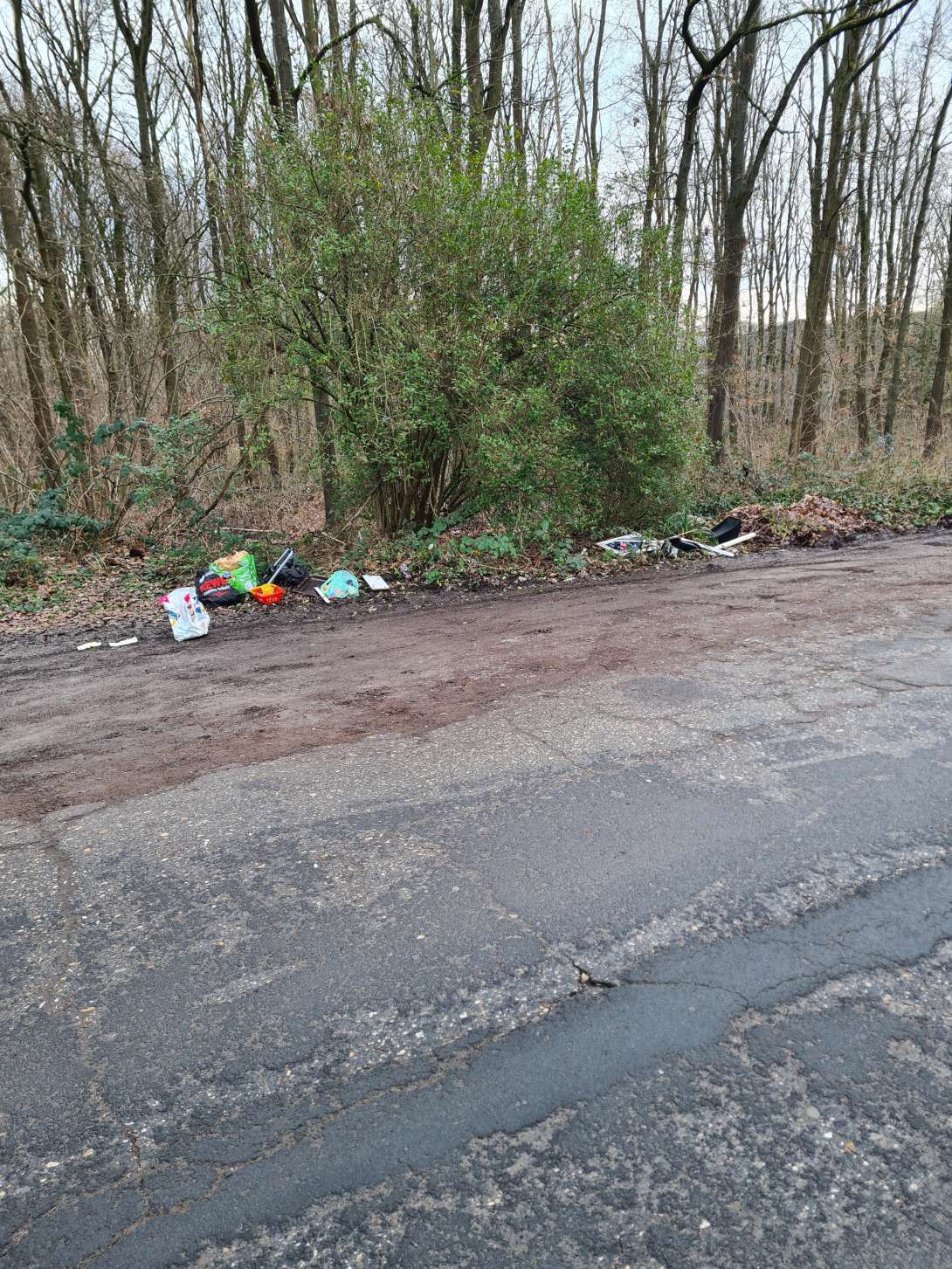 Bild zu gemeldetem Anliegen vom *2026-01-16 11:13:34