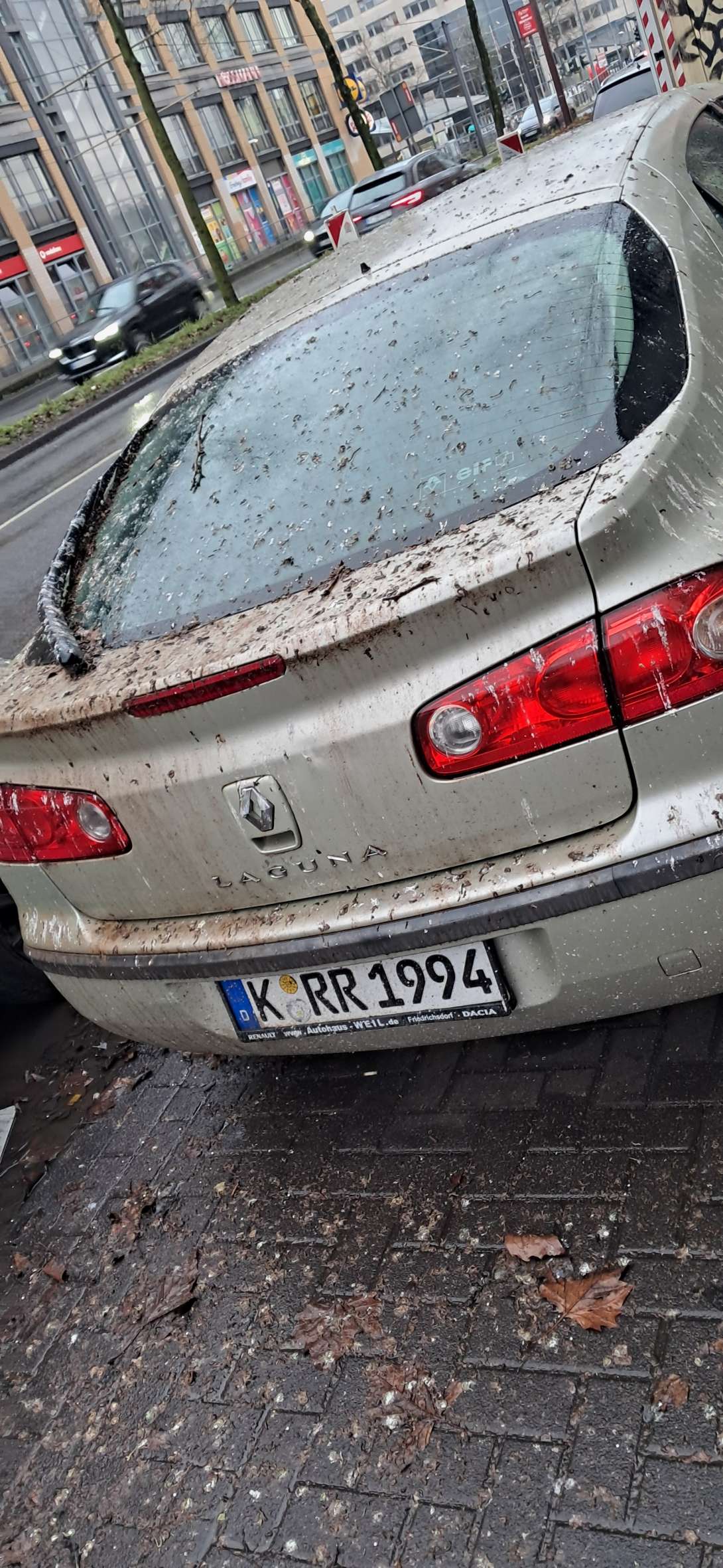 Bild zu gemeldetem Anliegen vom *2026-01-16 15:32:24