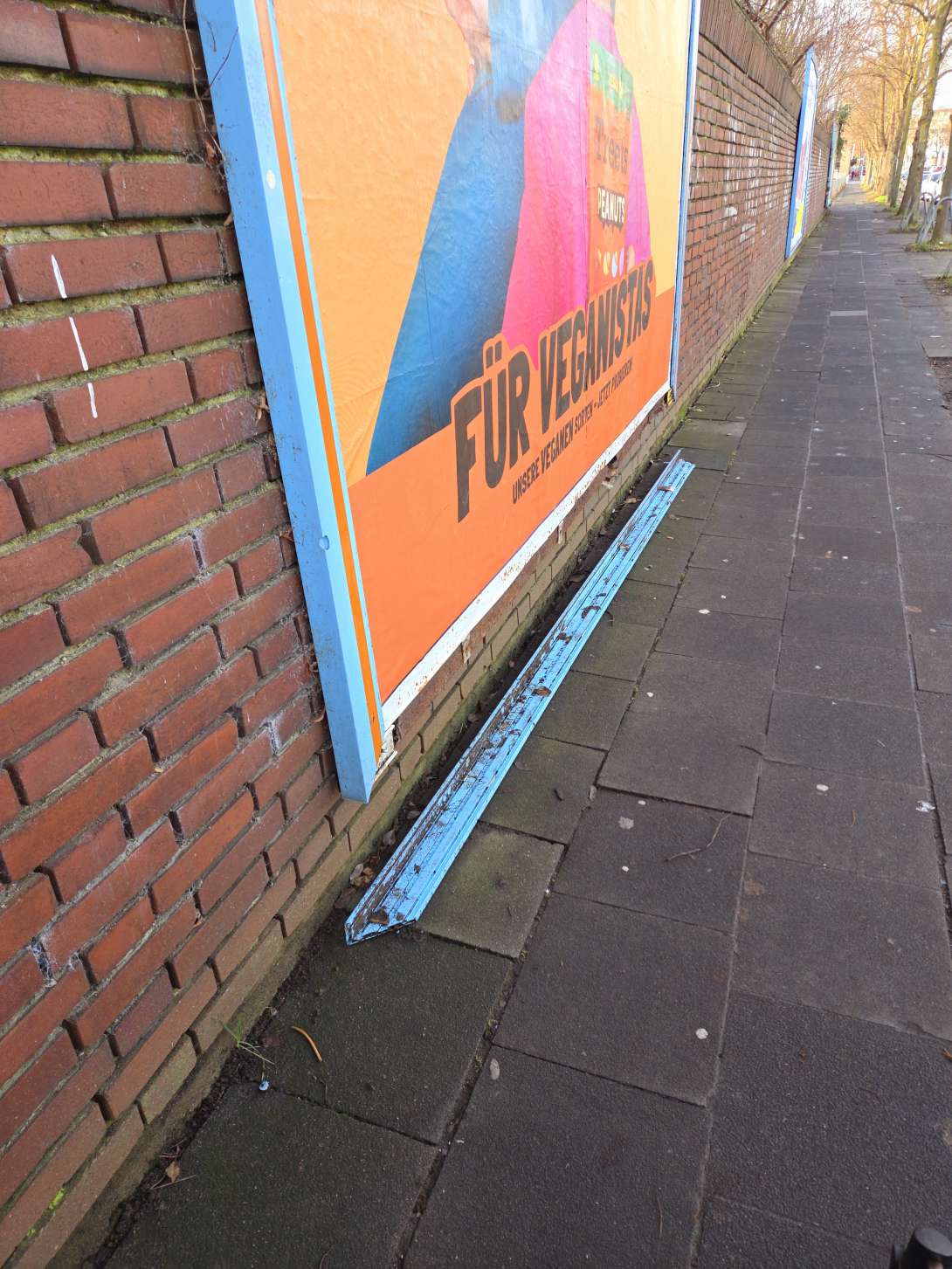 Bild zu gemeldetem Anliegen vom *2026-01-17 15:35:02