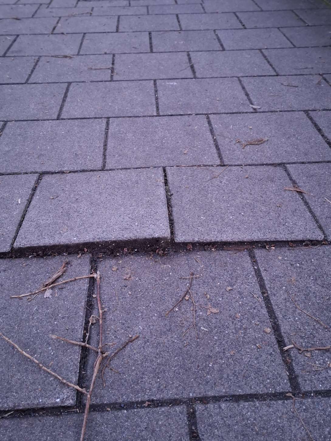 Bild zu gemeldetem Anliegen vom *2026-01-18 09:29:31