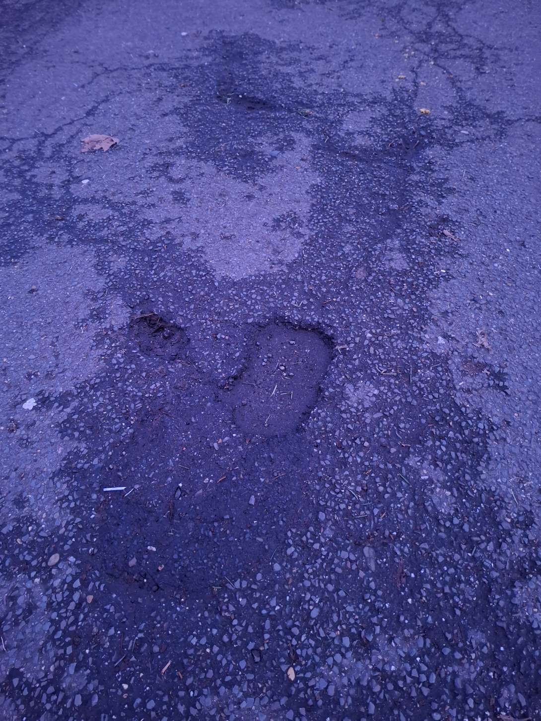 Bild zu gemeldetem Anliegen vom *2026-01-18 10:12:59