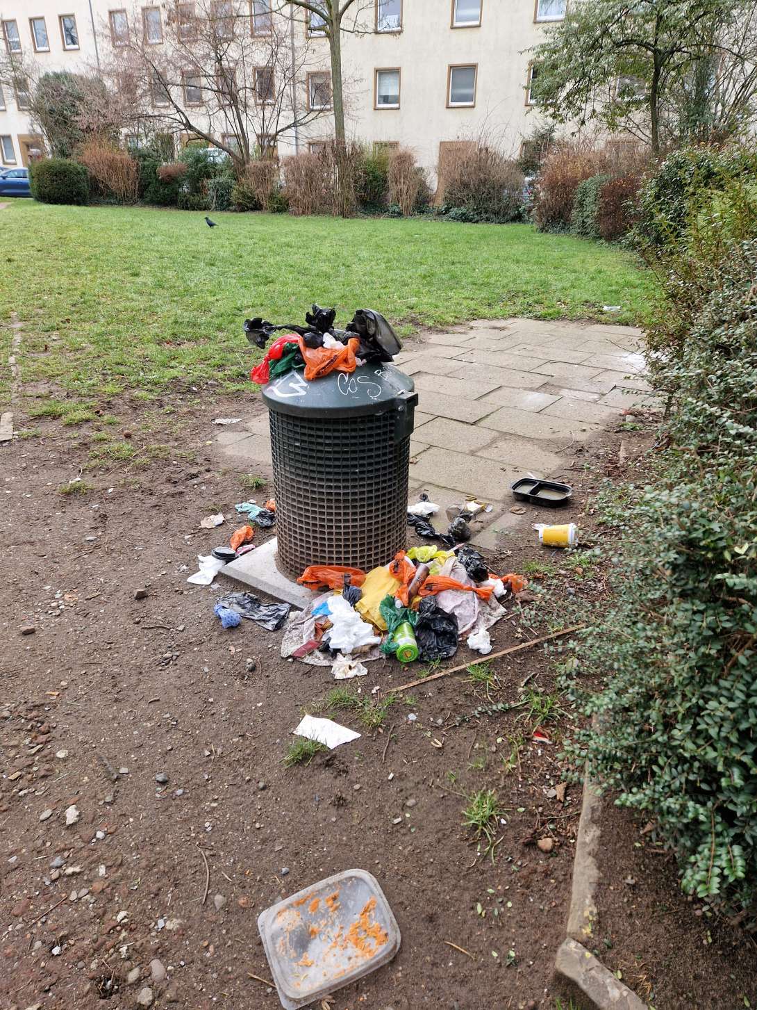 Bild zu gemeldetem Anliegen vom *2026-01-18 12:33:35