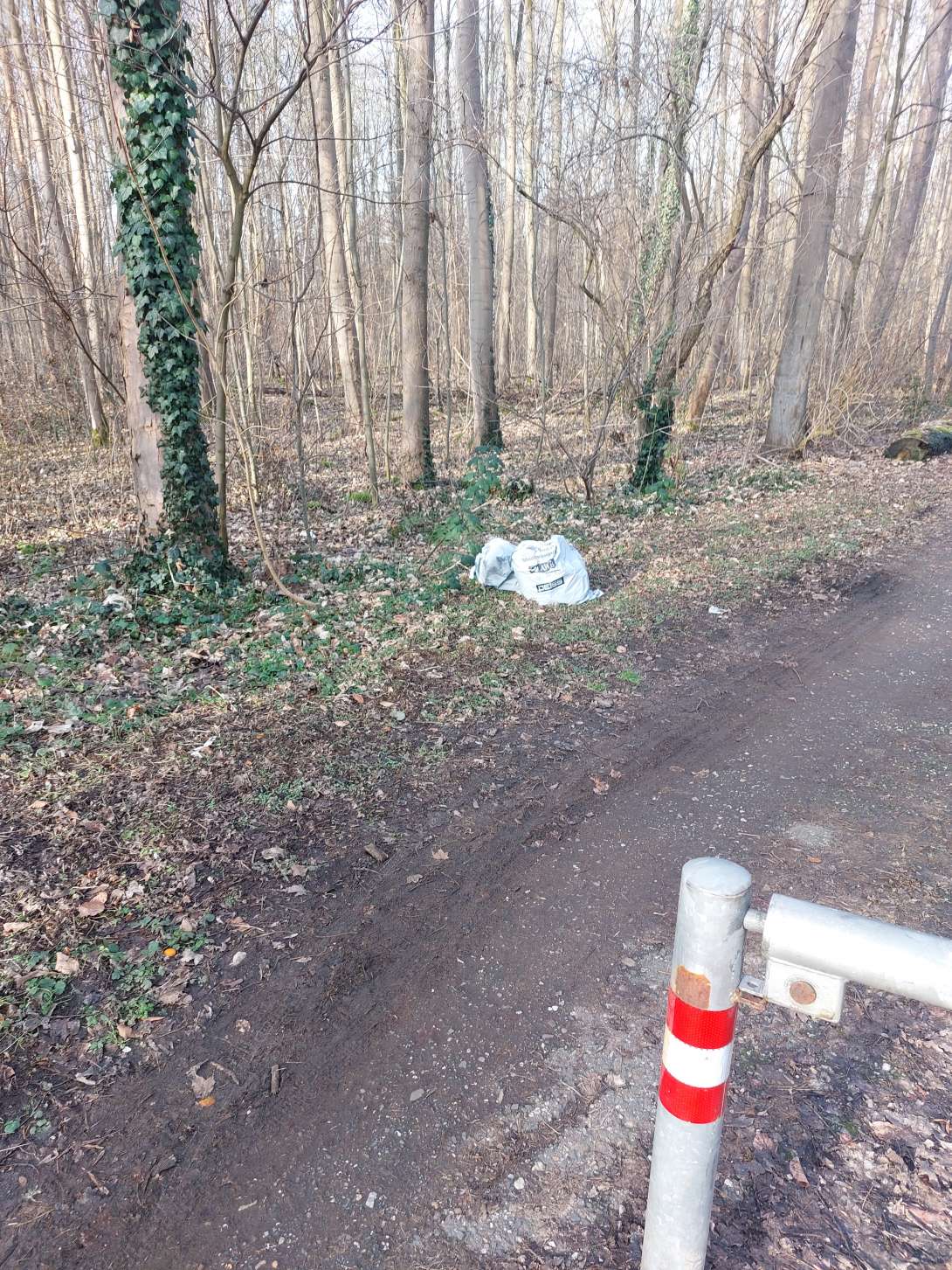 Bild zu gemeldetem Anliegen vom *2026-01-20 12:43:46