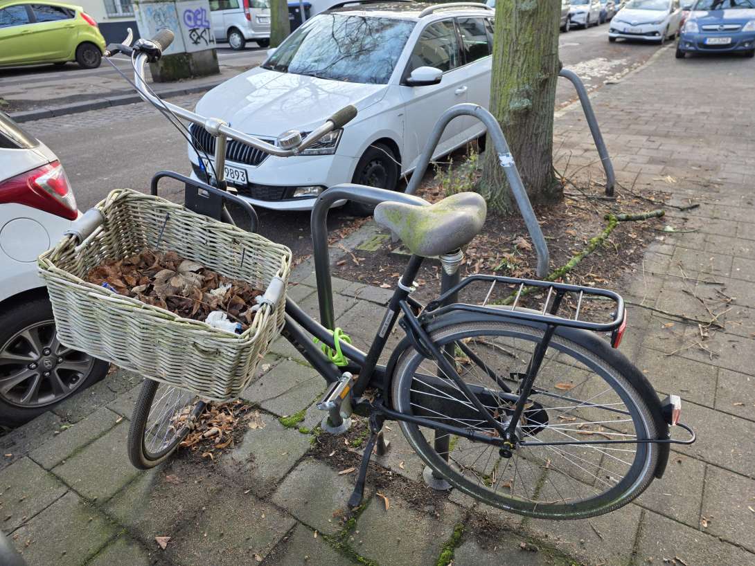 Noch ein Fahrrad vor der Voigtelstr. 31 2026-01-17 11:09:07