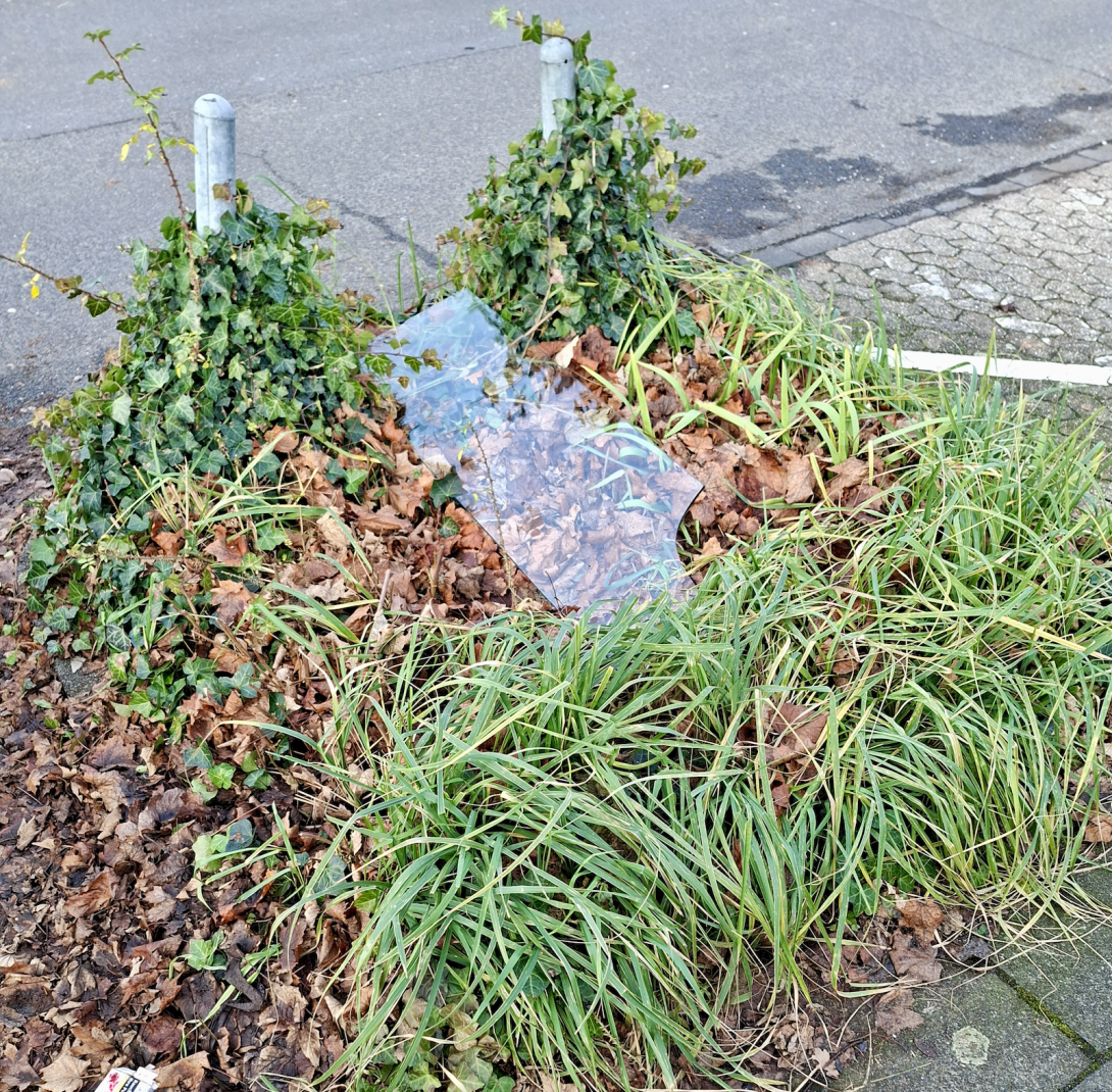 Bild zu gemeldetem Anliegen vom *2026-01-19 10:15:52