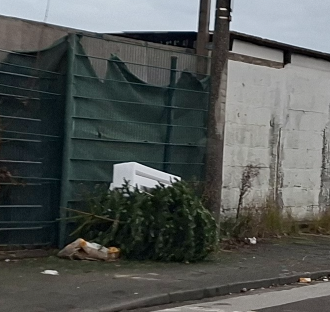 Bild zu gemeldetem Anliegen vom *2026-01-19 11:48:37