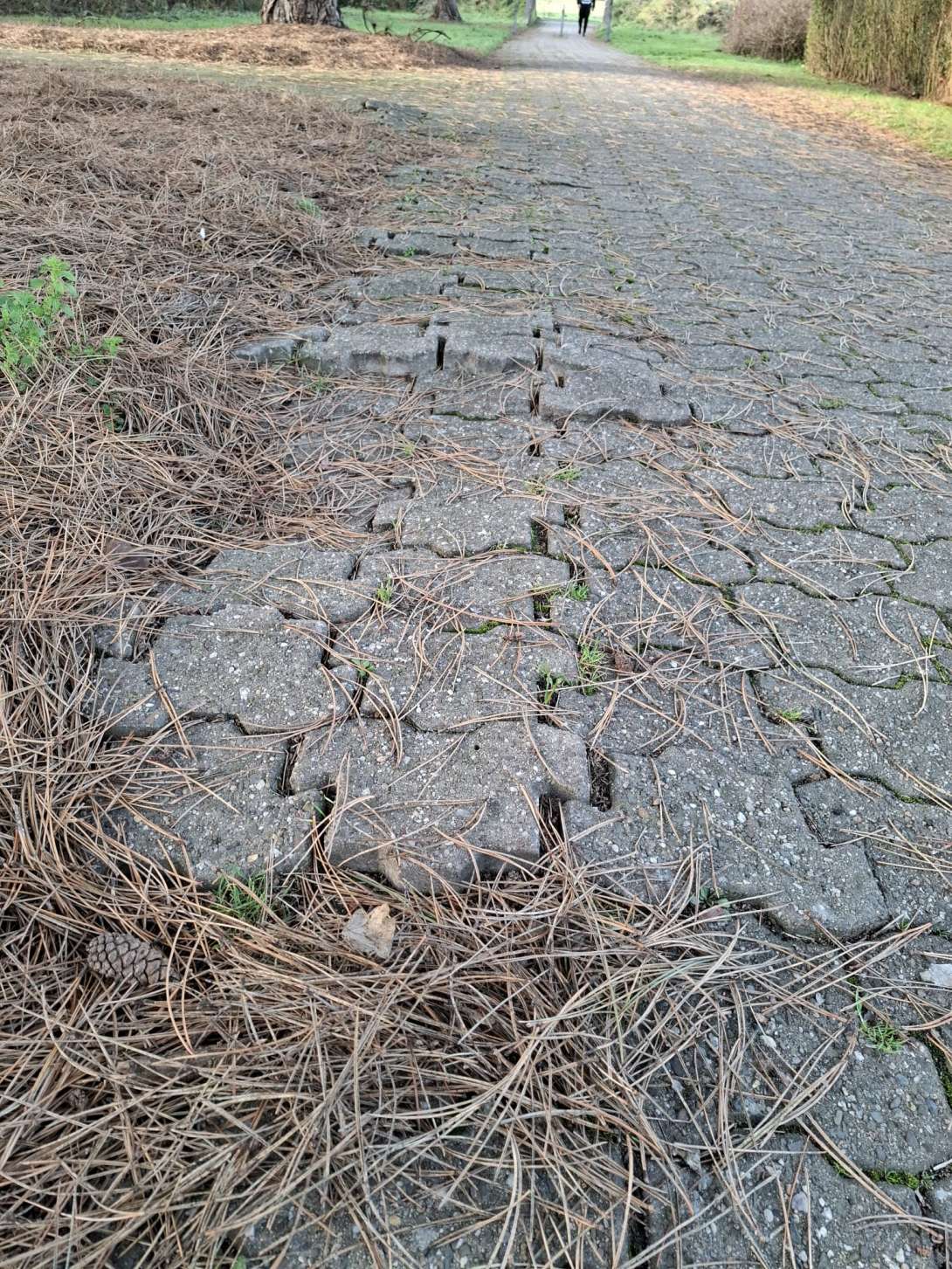 Bild zu gemeldetem Anliegen vom *2026-01-17 16:56:43