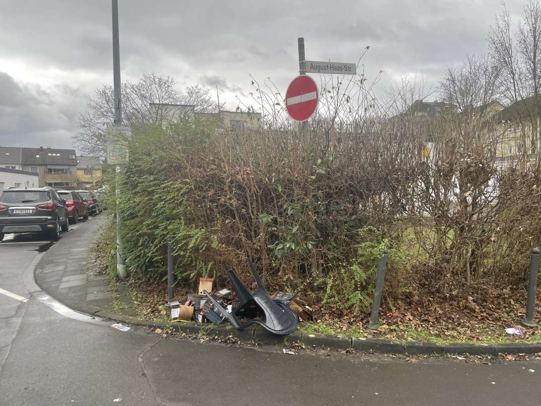 Bild zu gemeldetem Anliegen vom *2026-01-15 16:49:12