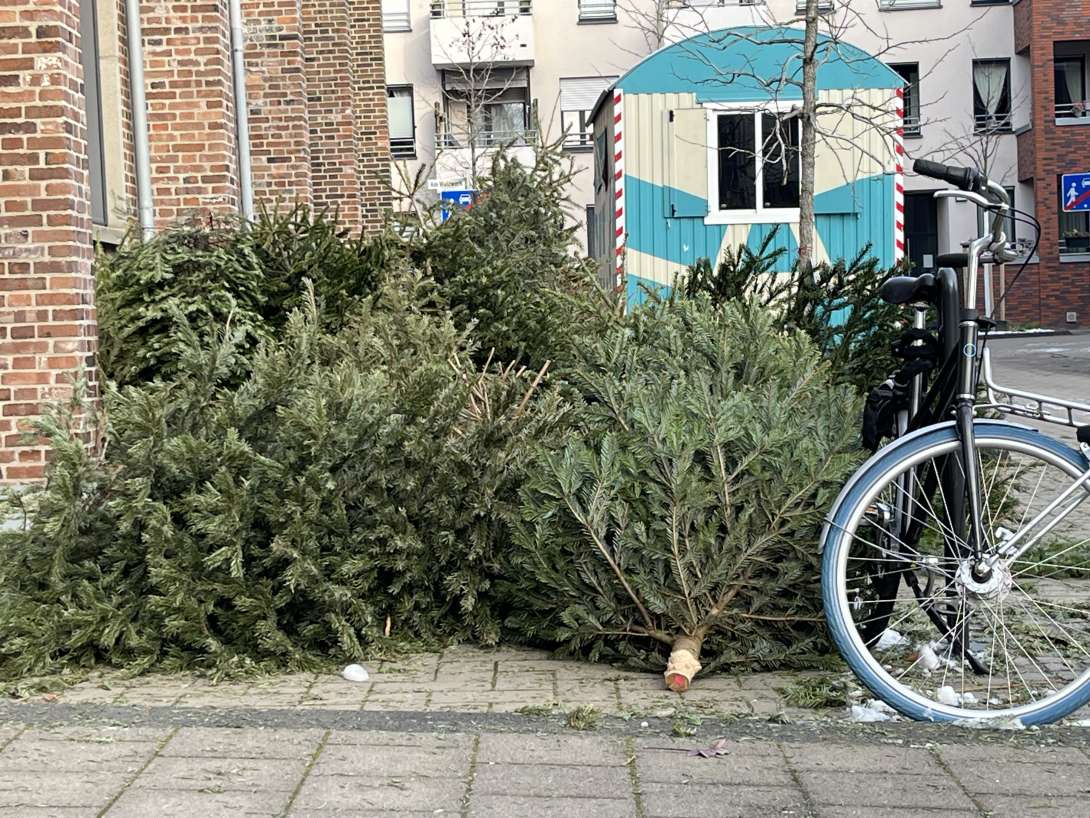 Bild zu gemeldetem Anliegen vom *2026-01-07 11:20:39