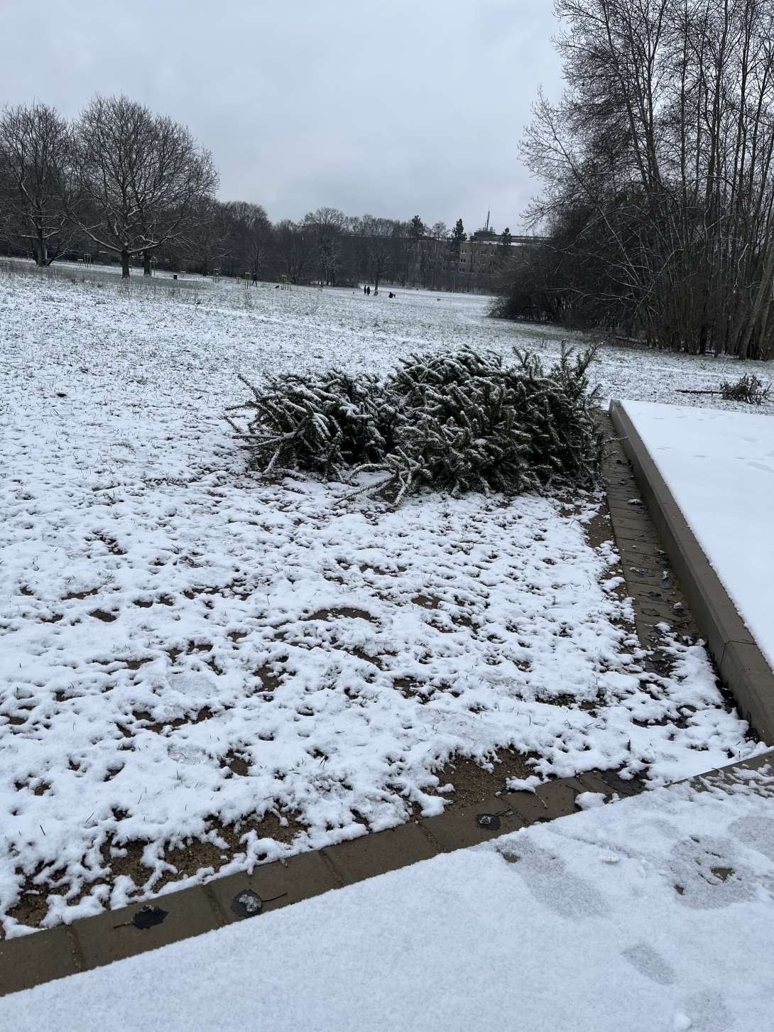 Bild zu gemeldetem Anliegen vom *2026-01-10 12:36:14