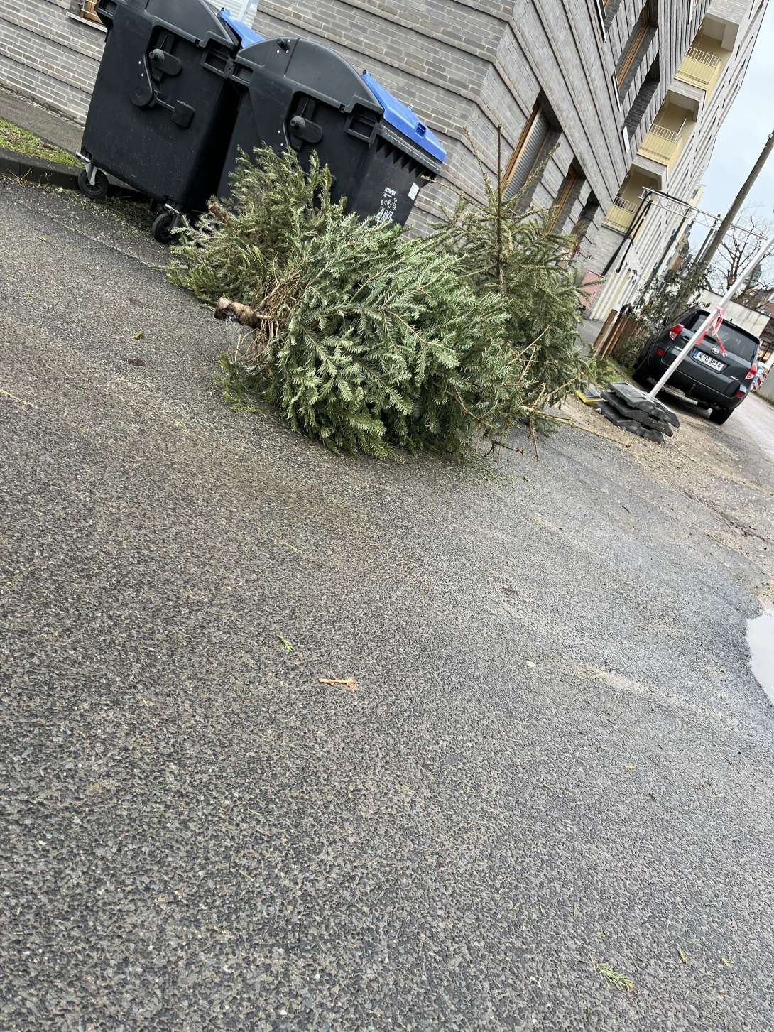 Bild zu gemeldetem Anliegen vom *2026-01-13 14:47:54