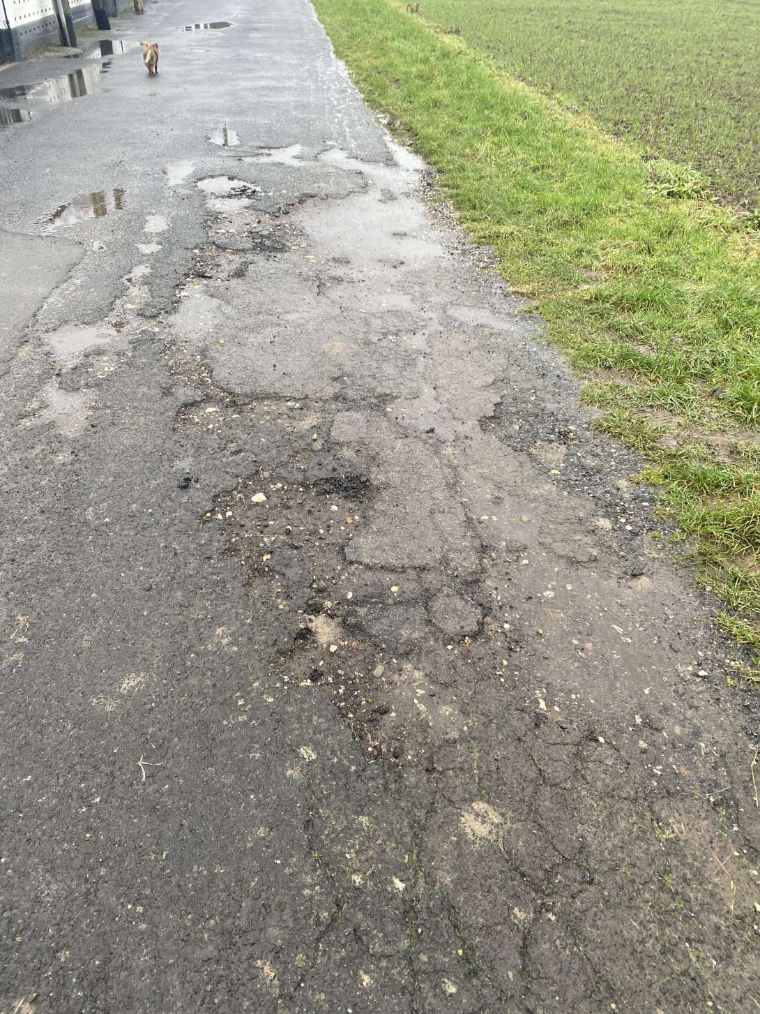 Bild zu gemeldetem Anliegen vom *2026-01-16 15:32:24