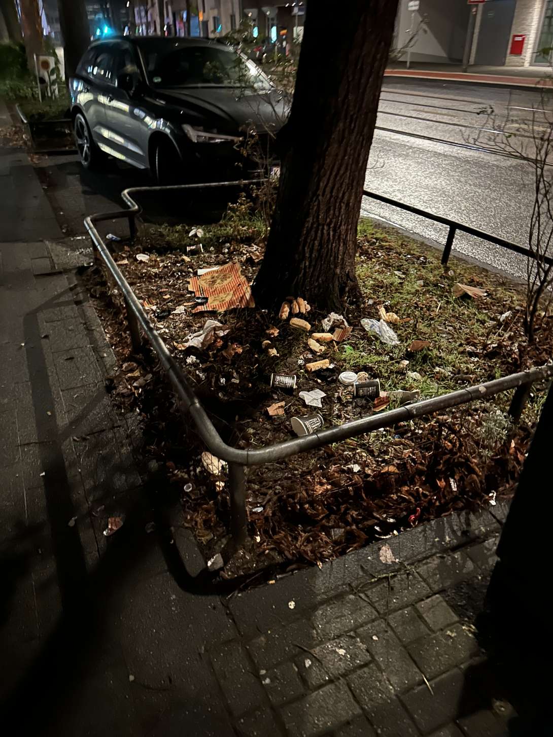 Bild zu gemeldetem Anliegen vom *2026-01-15 10:14:35