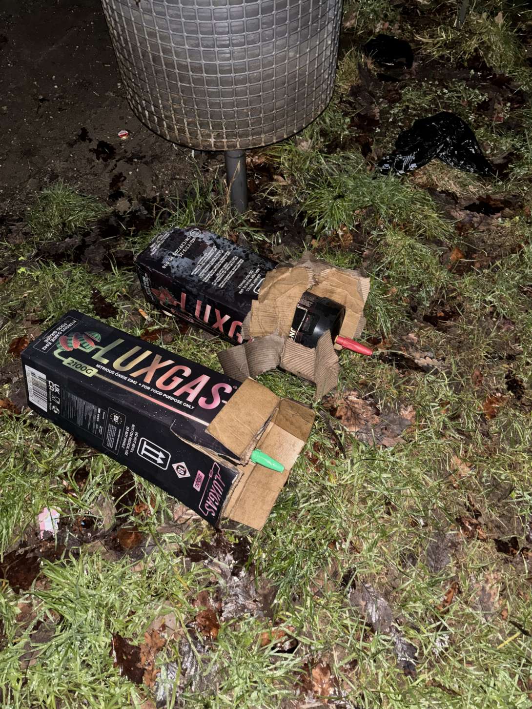 Bild zu gemeldetem Anliegen vom *2026-01-12 21:28:36