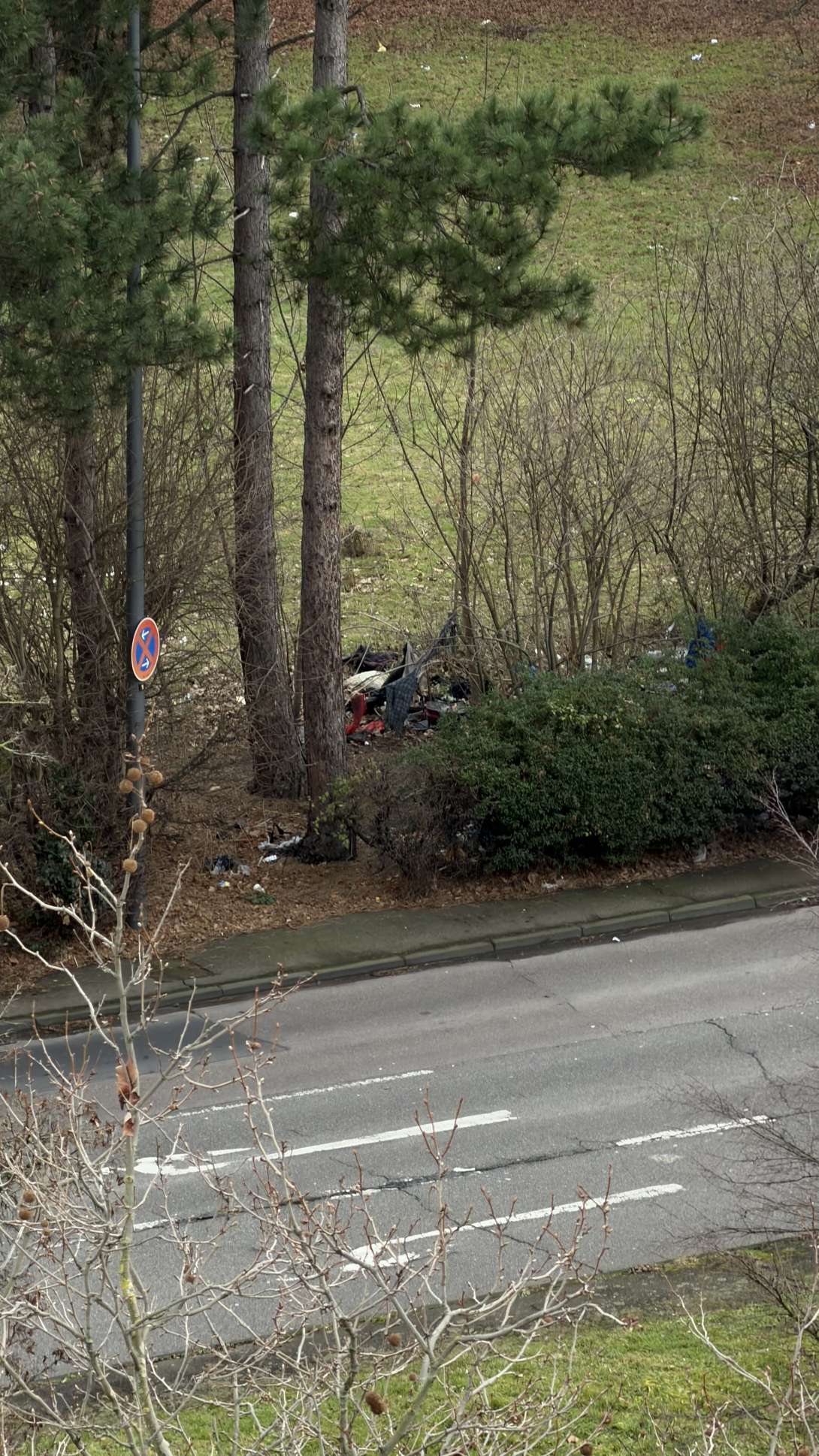 Bild zu gemeldetem Anliegen vom *2026-01-16 11:58:29