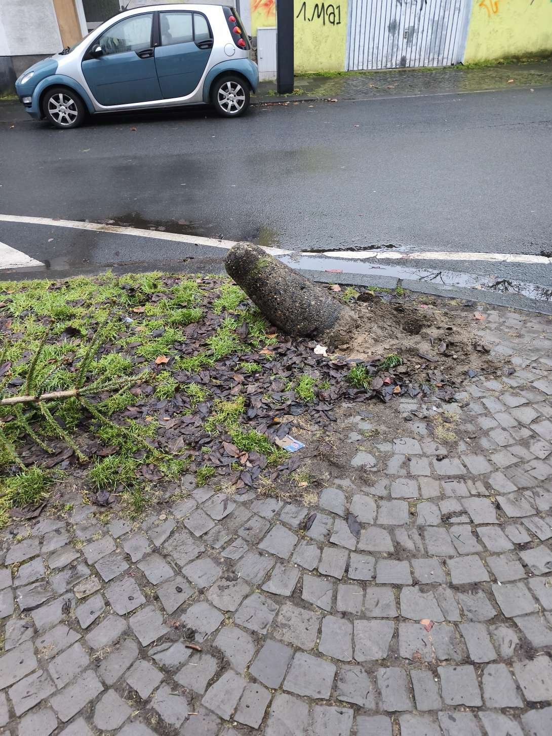 Bild zu gemeldetem Anliegen vom *2026-01-14 18:31:08