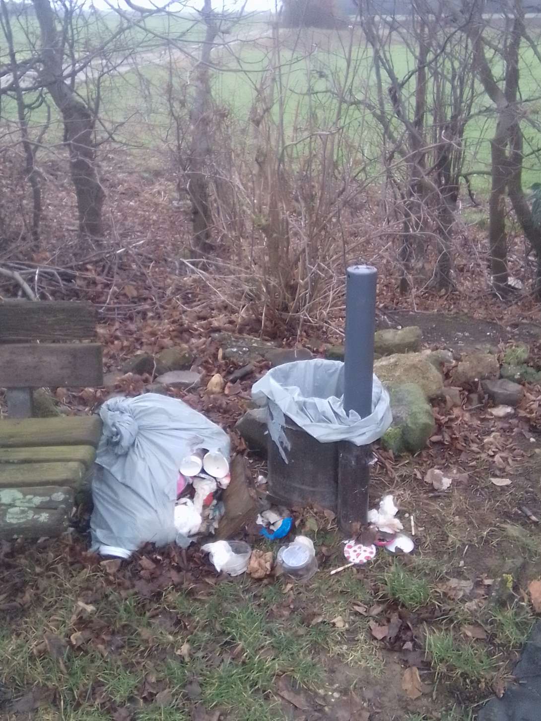 Bild zu gemeldetem Anliegen vom *2026-01-16 11:05:16