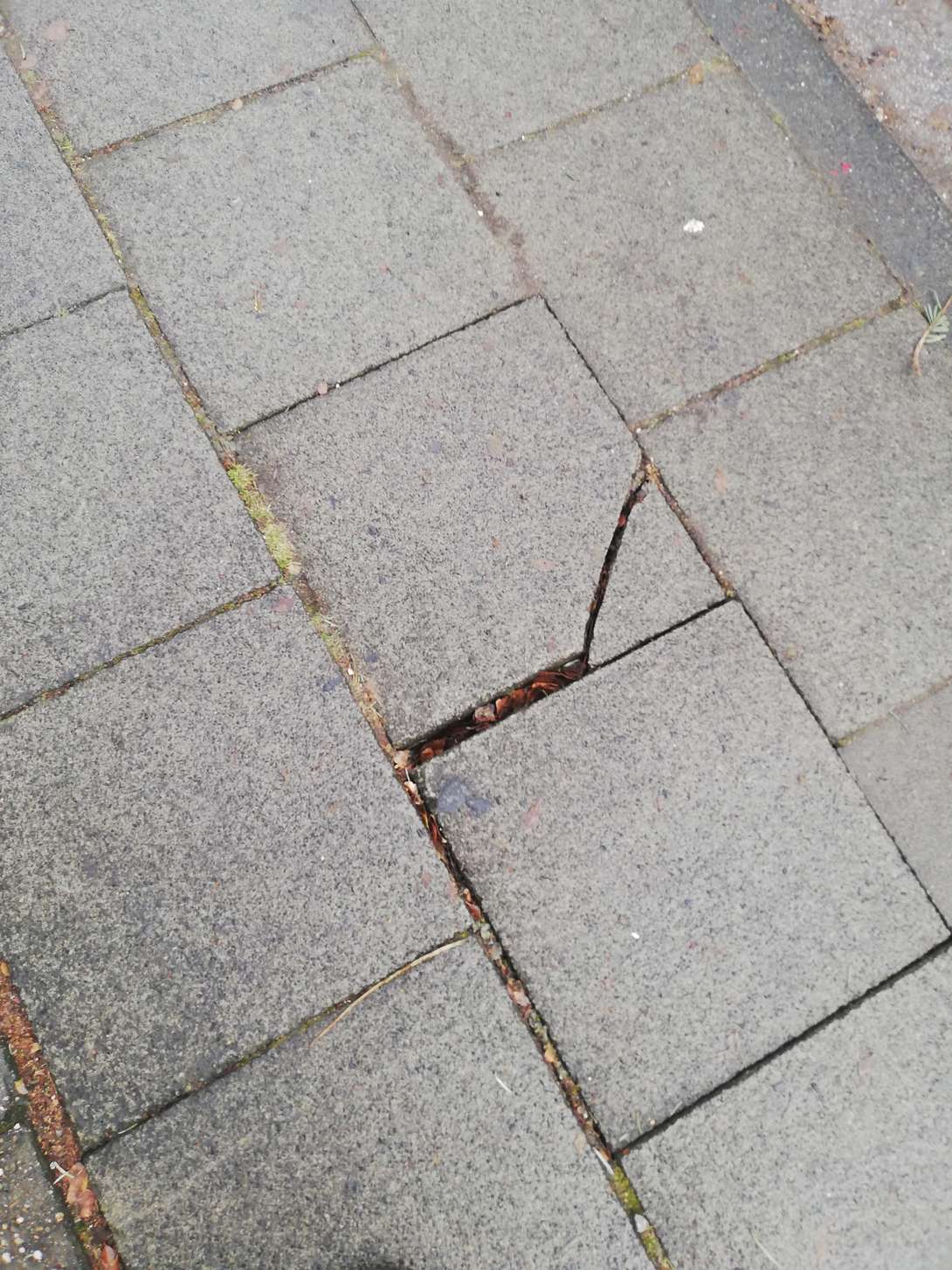 Bild zu gemeldetem Anliegen vom *2026-01-15 15:27:08