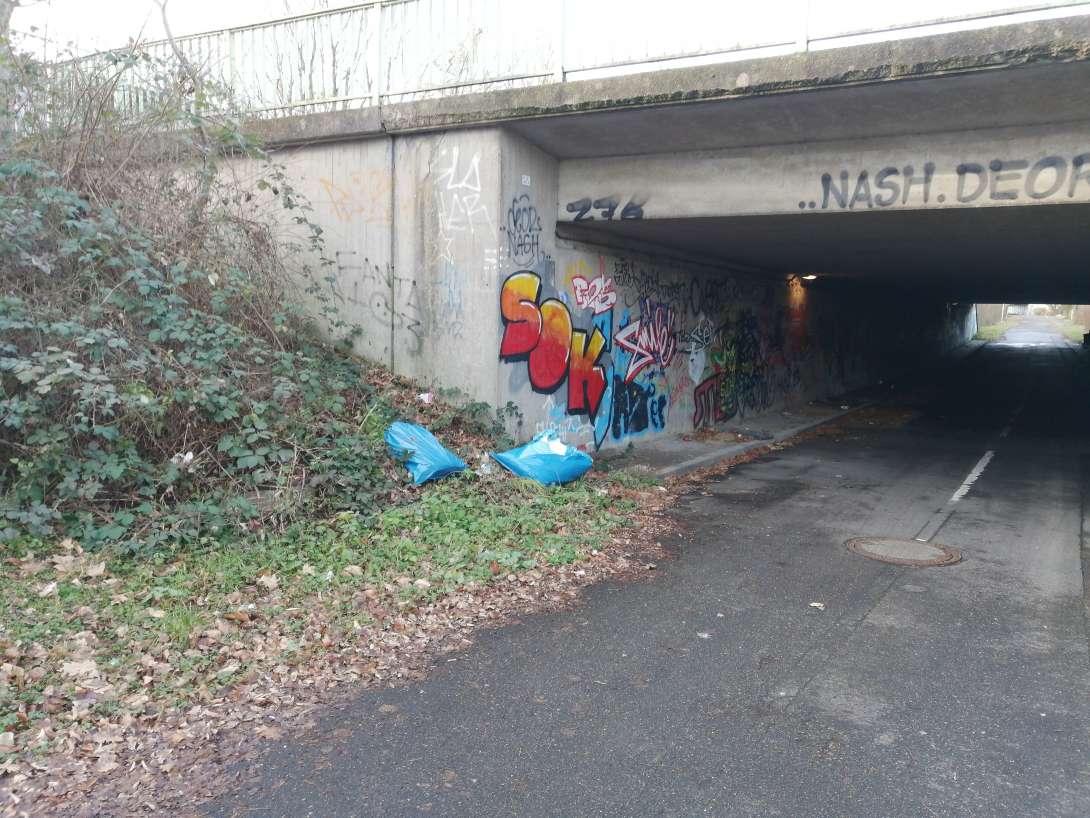 Bild zu gemeldetem Anliegen vom *2026-01-18 18:21:06