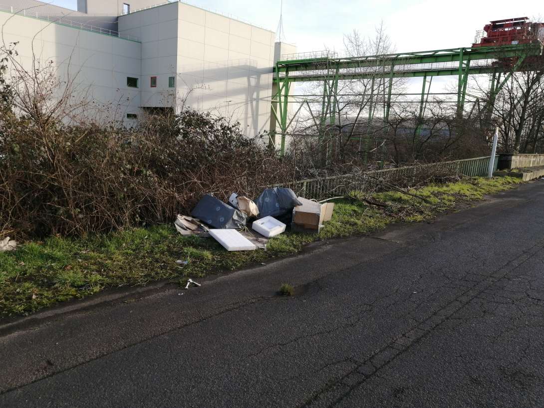 Bild zu gemeldetem Anliegen vom *2026-01-18 15:32:43