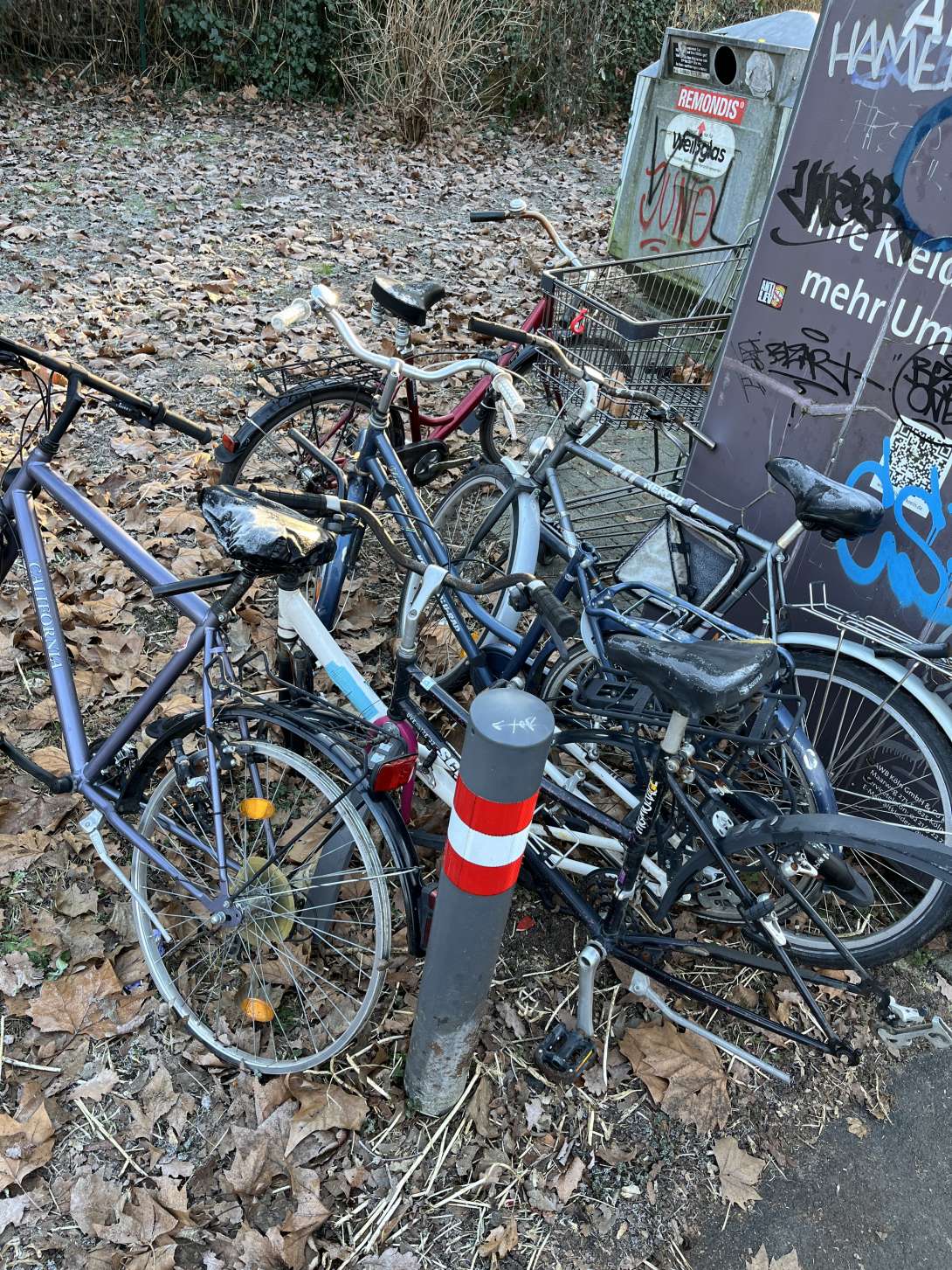 Bild zu gemeldetem Anliegen vom *2026-01-05 09:44:49