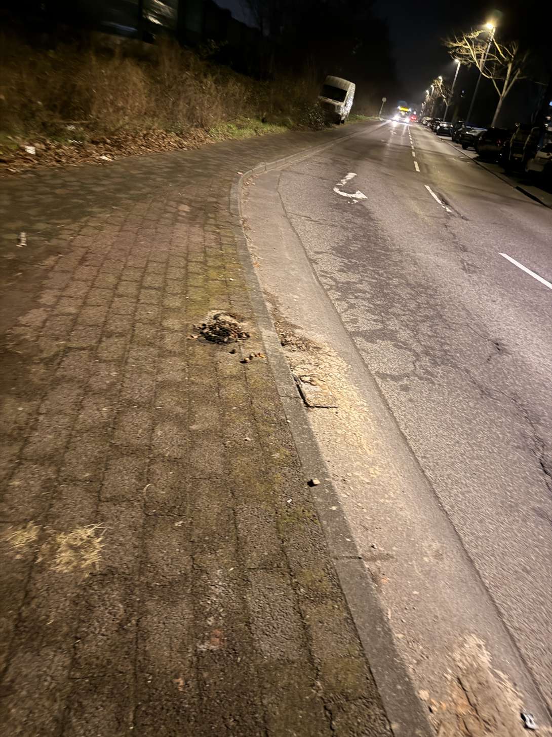 Bild zu gemeldetem Anliegen vom *2026-01-20 21:25:43