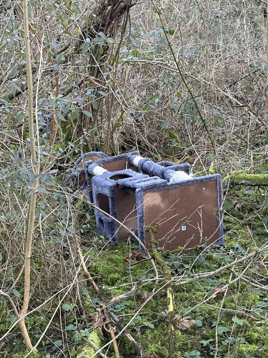 Sperrmüll im gesamten Naturschutzgebiet 